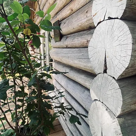 Chalet Knus Boomstamhuisje Op De Schatberg - Nabij Toverland