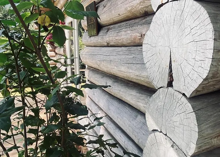 Domek alpejski Knus Boomstamhuisje Op De Schatberg - Nabij Toverland