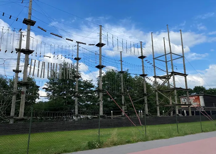 Domek alpejski Knus Boomstamhuisje Op De Schatberg - Nabij Toverland *