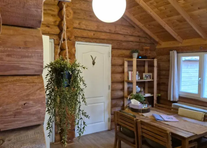 Domek alpejski Knus Boomstamhuisje Op De Schatberg - Nabij Toverland Sevenum